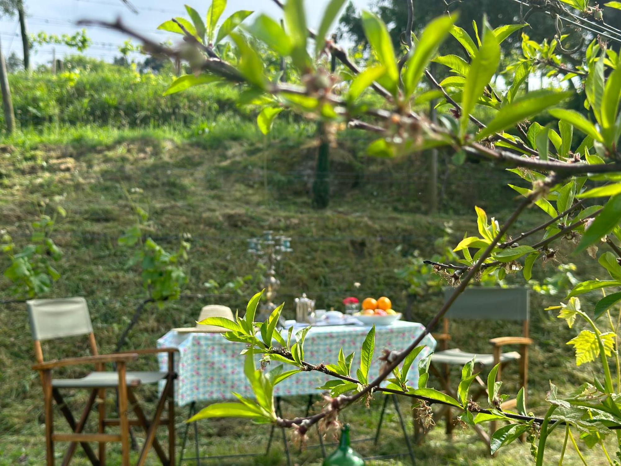 Carmo'S Boutique Hotel - Small Luxury Hotels Of The World Ponte de Lima Exteriör bild
